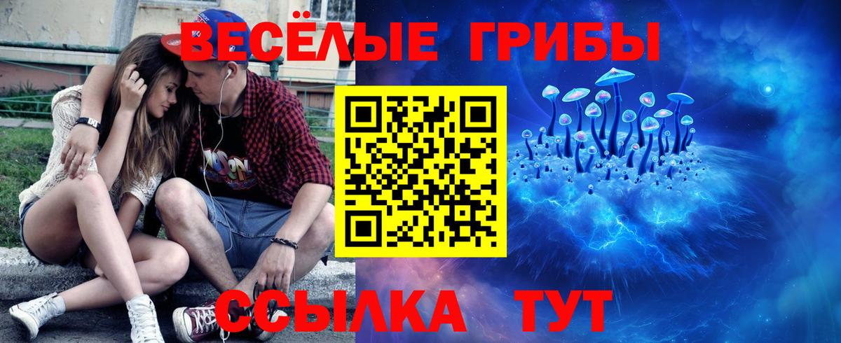 Салехард  Псилоцибиновые грибы прущие грибы  Вход с VPN 