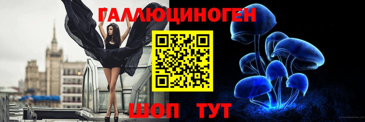 Псилоцибиновые грибы MAGIC MUSHROOMS Салехард